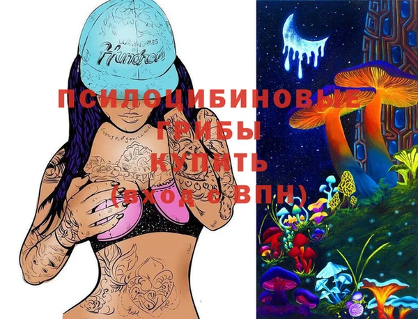 дурь Волоколамск
