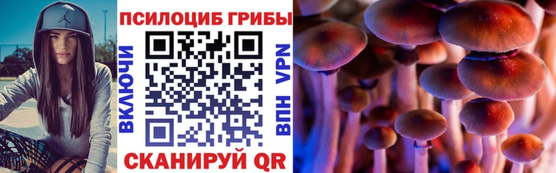 Галлюциногенные грибы MAGIC MUSHROOMS  наркота  Магнитогорск 